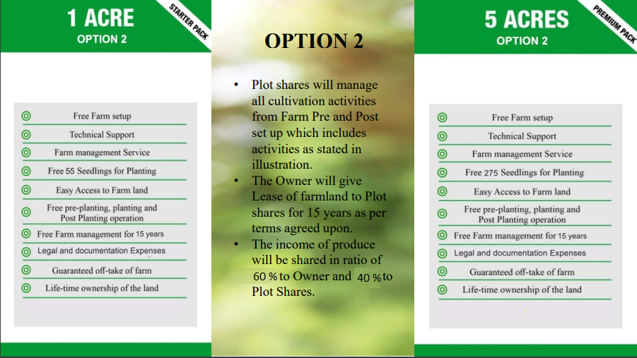 OPTION 2